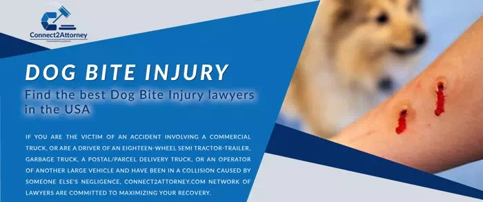 dog bite injury
